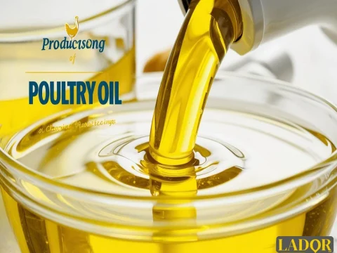 عکس از نوشته روغن مرغی