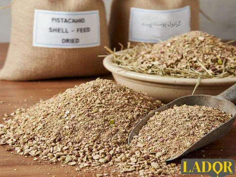 عکس مربوط به مقاله گرانول پوست پسته