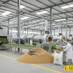 عکس مربوط به مقاله جوانه ذرت